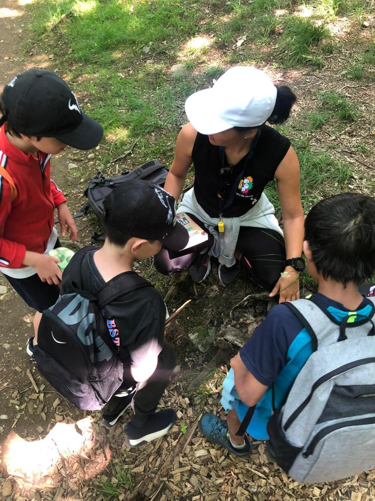 Eventi Summer Camp (810 year olds)